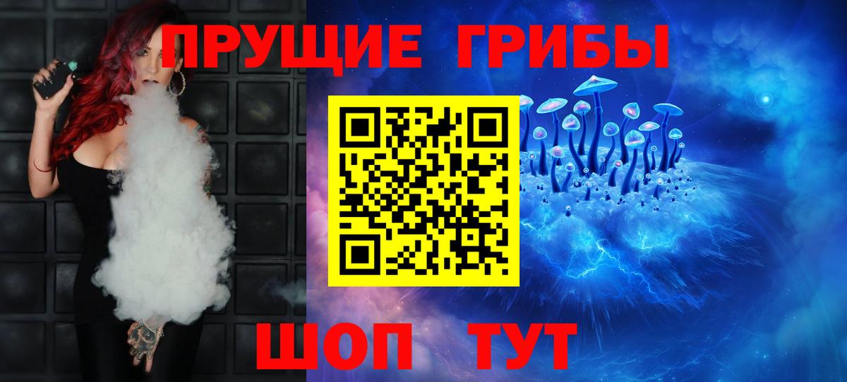 Псилоцибиновые грибы Cubensis Волгоград